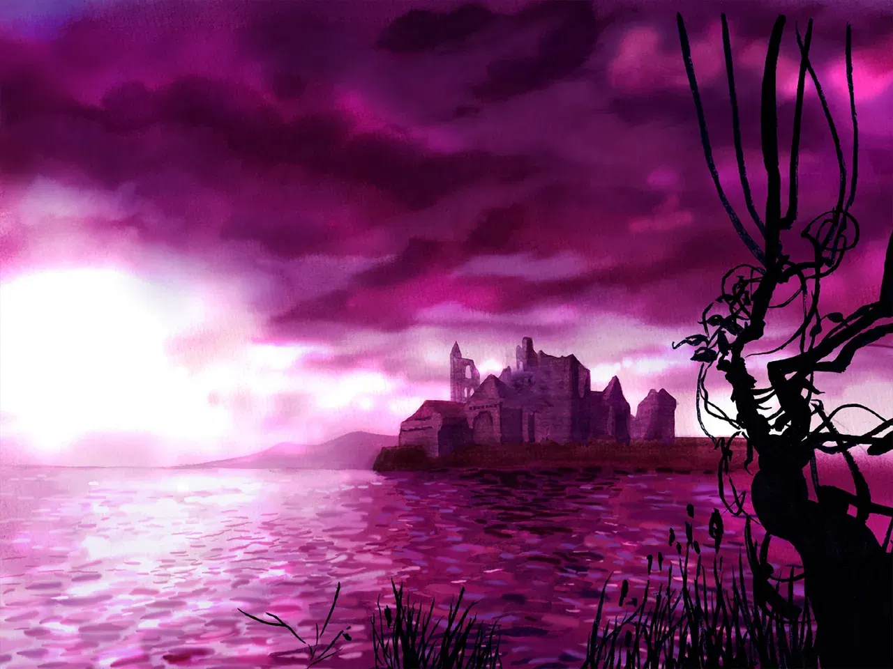 Image #447