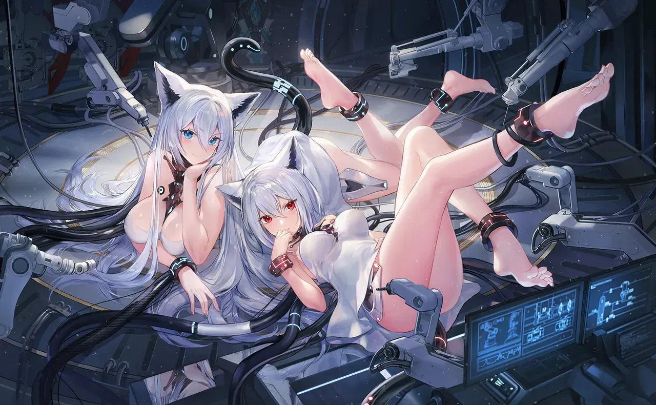 Image #456