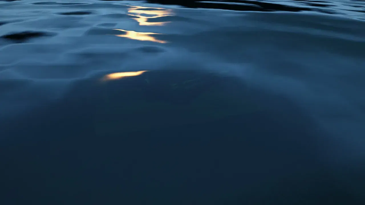 Image #20