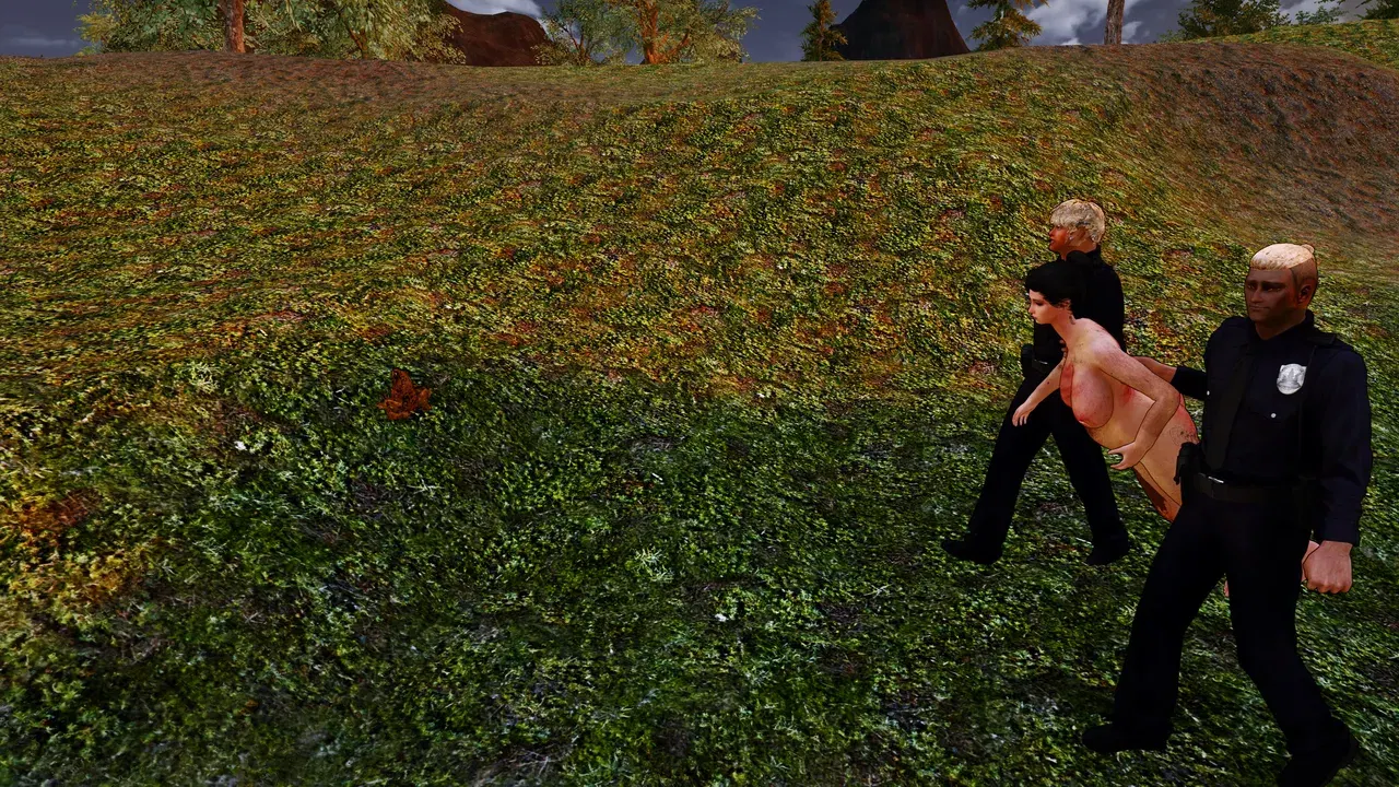 Image #24