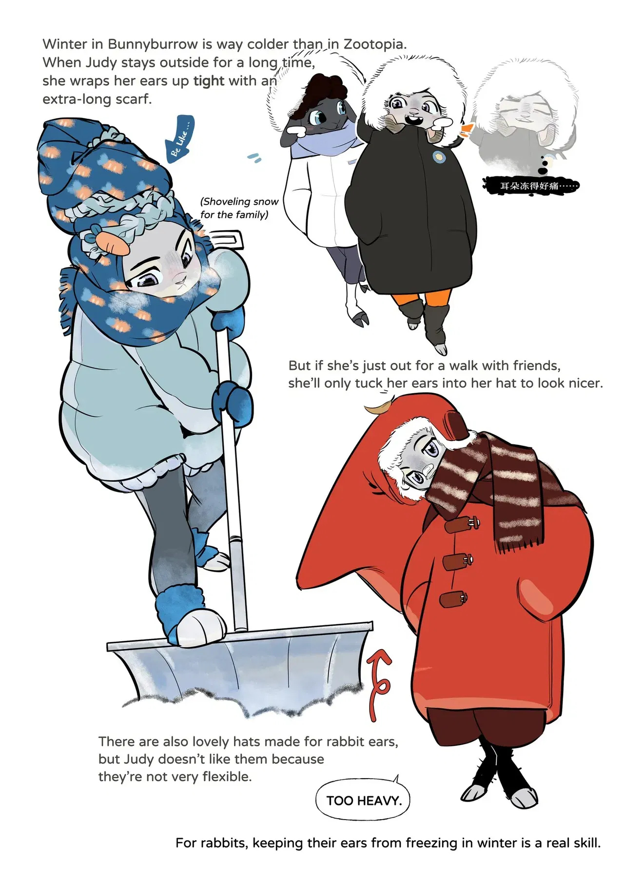 Image #13