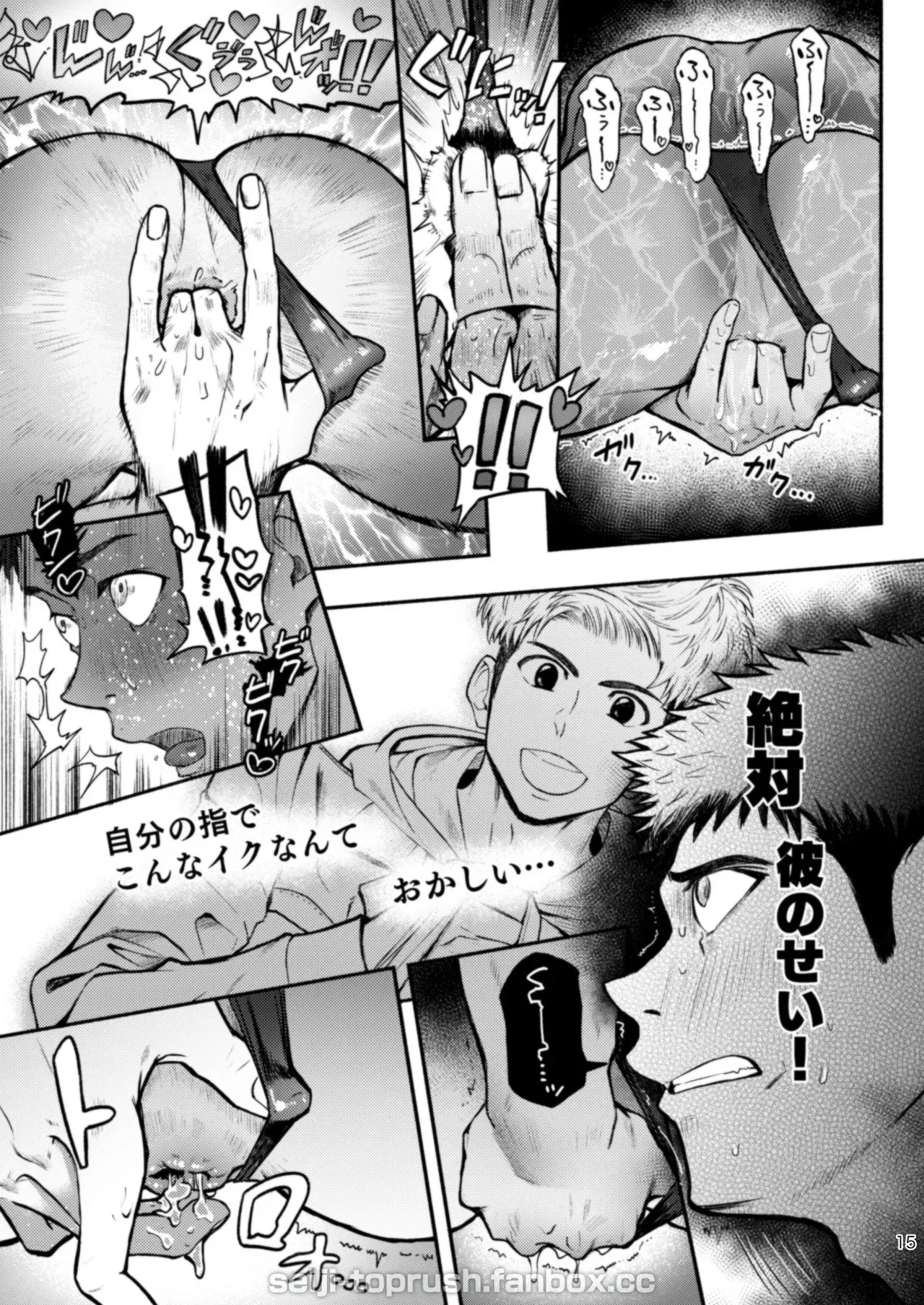 Image #15