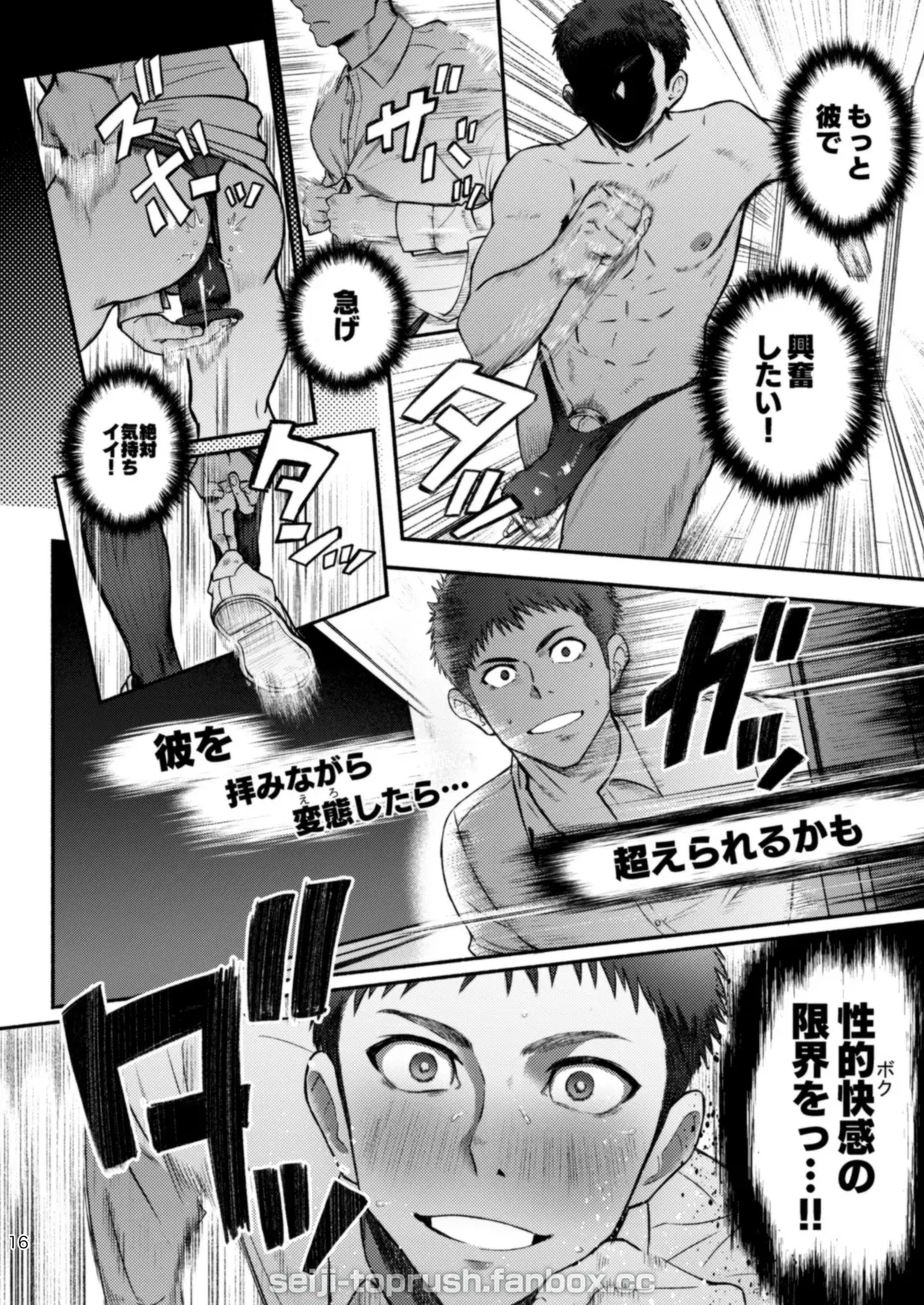 Image #16