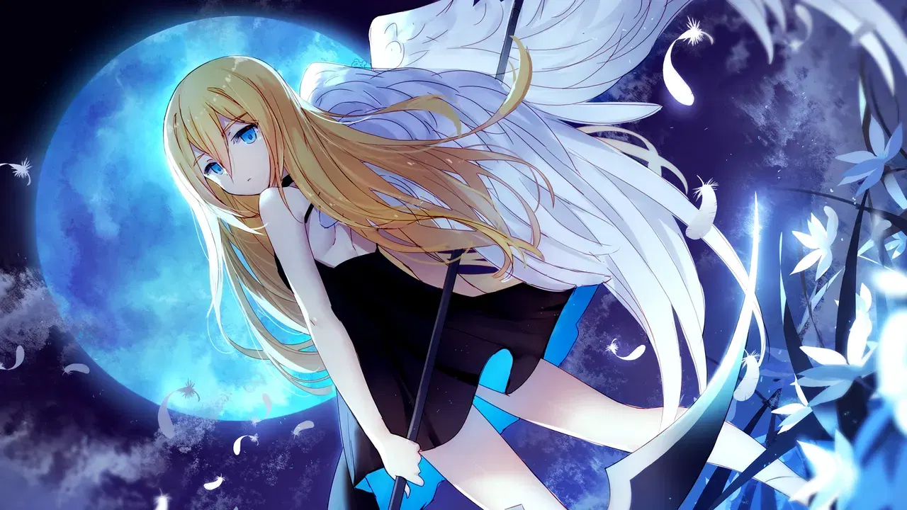 Image #521