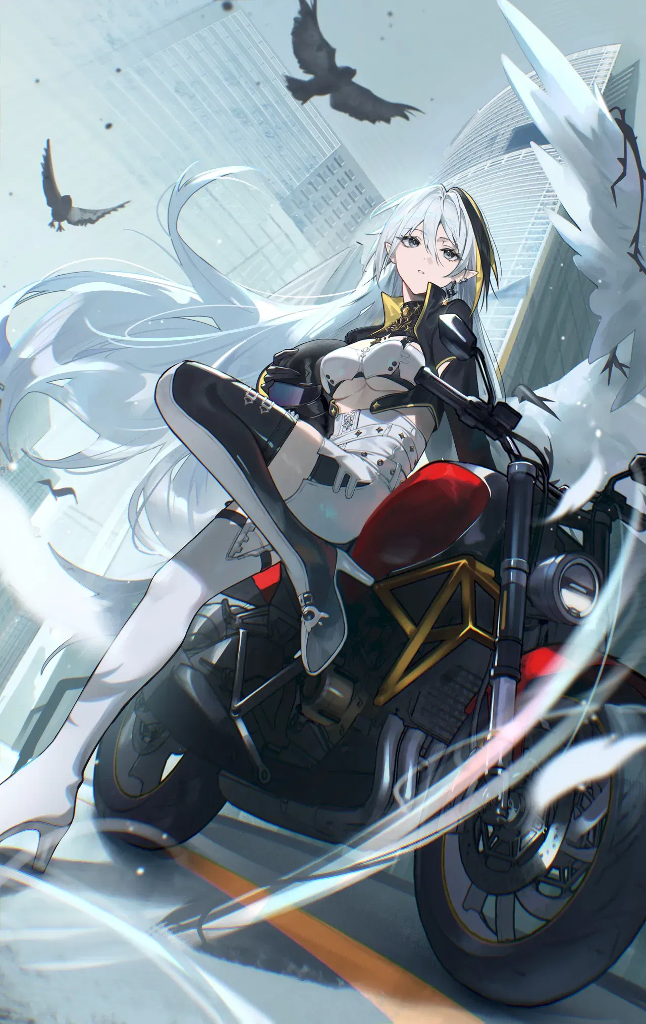 Image #11