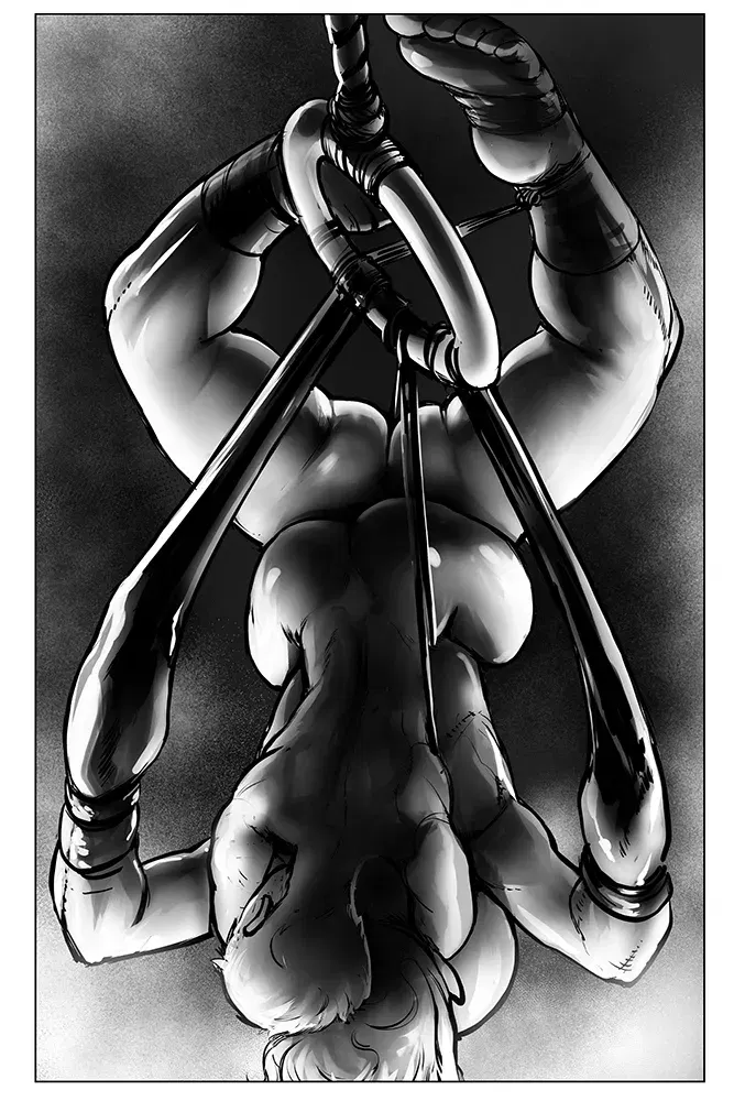 Image #294