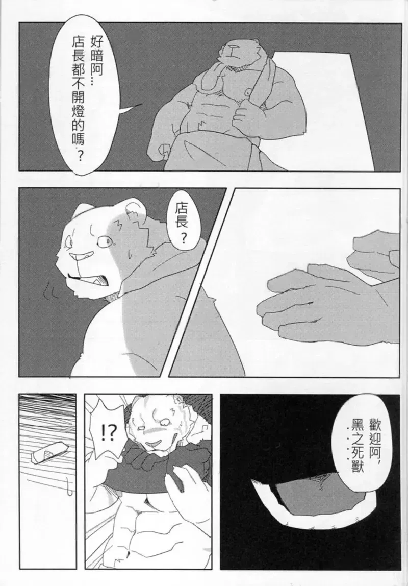Image #13