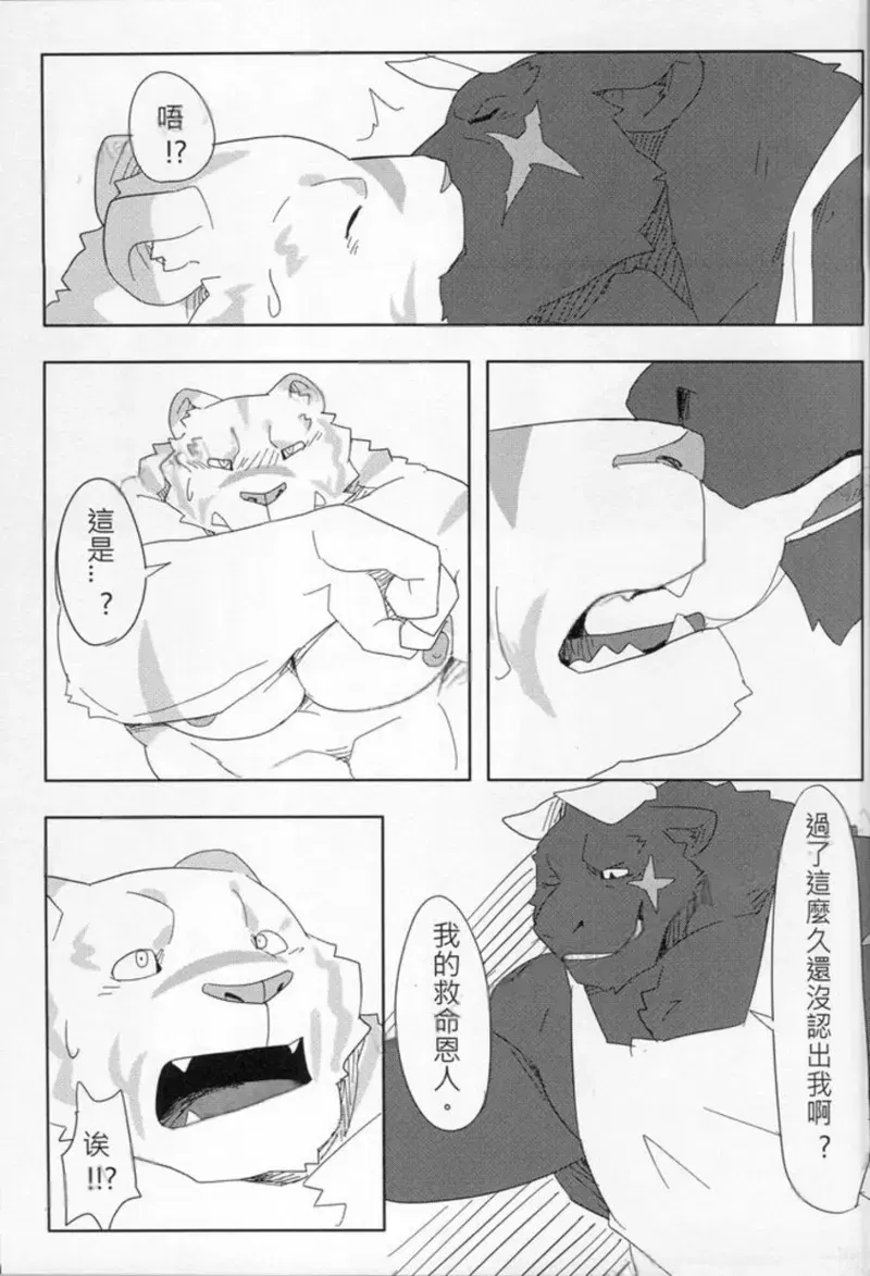 Image #15