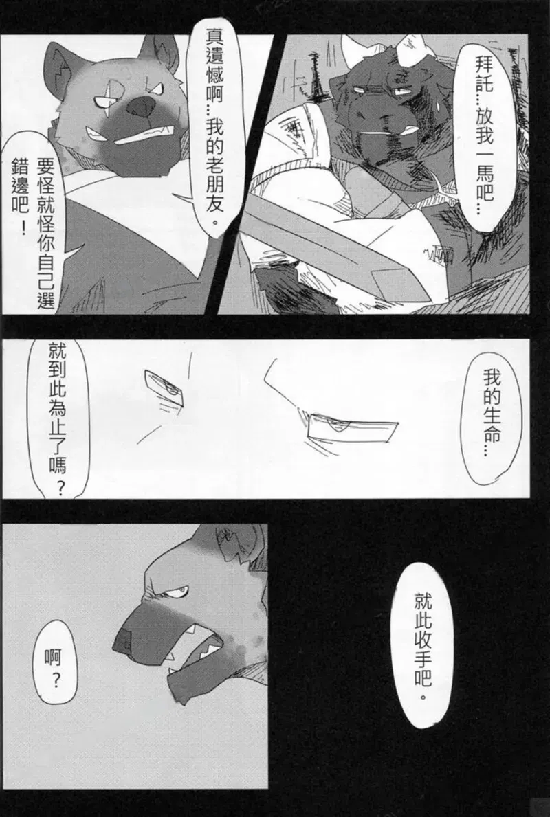 Image #16