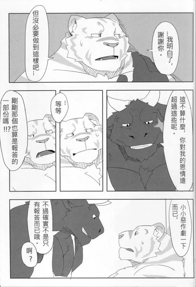 Image #19