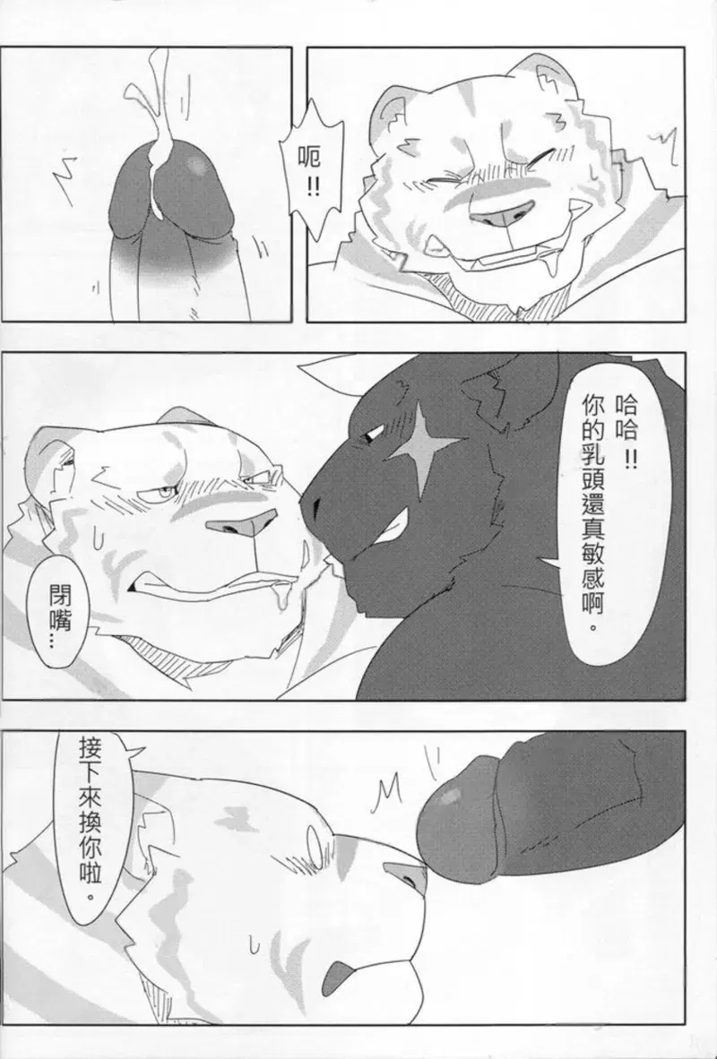 Image #22