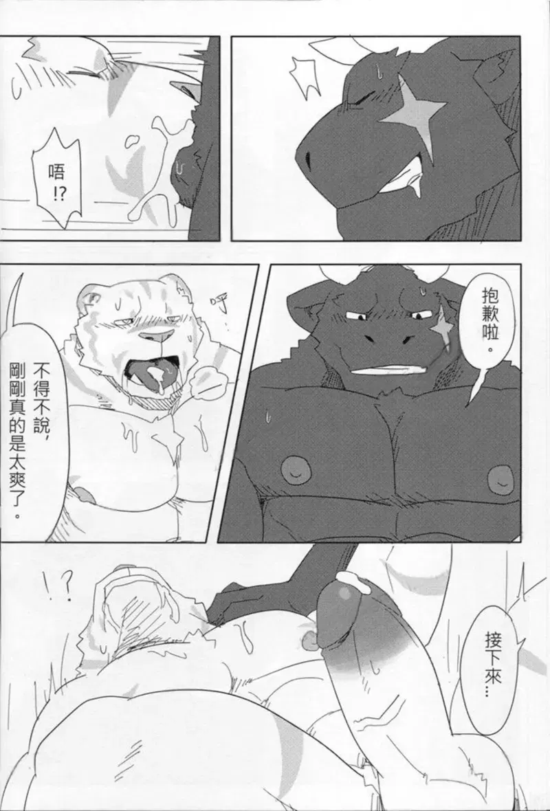 Image #24