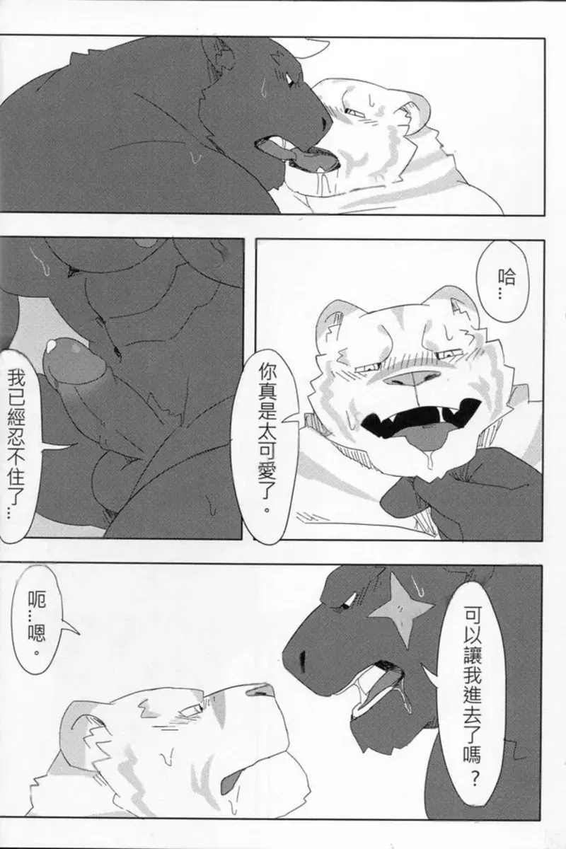 Image #26
