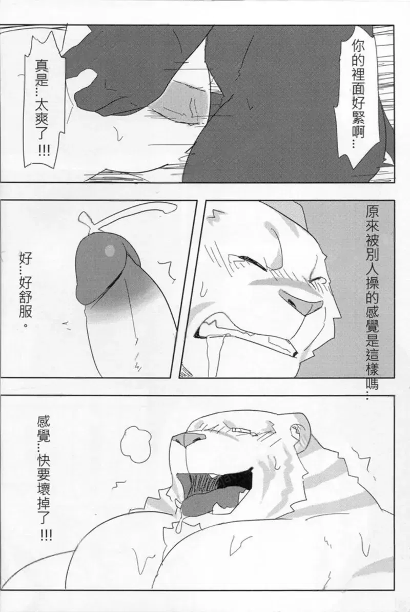 Image #28