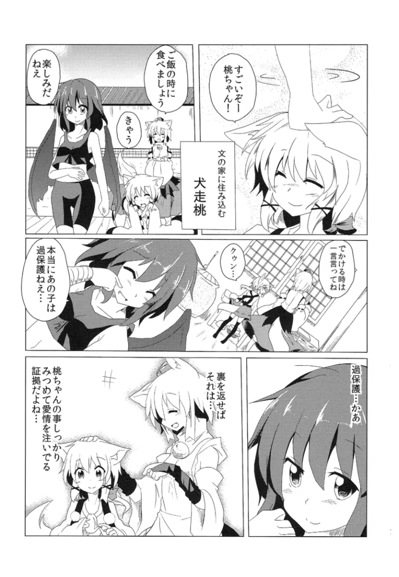 Image #12