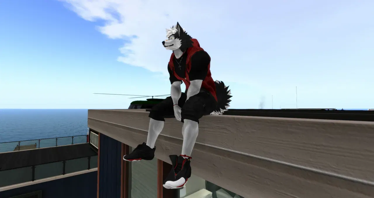 Image #107