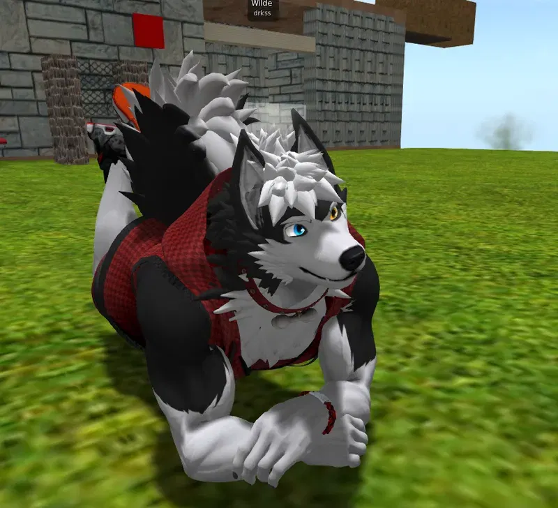 Image #108