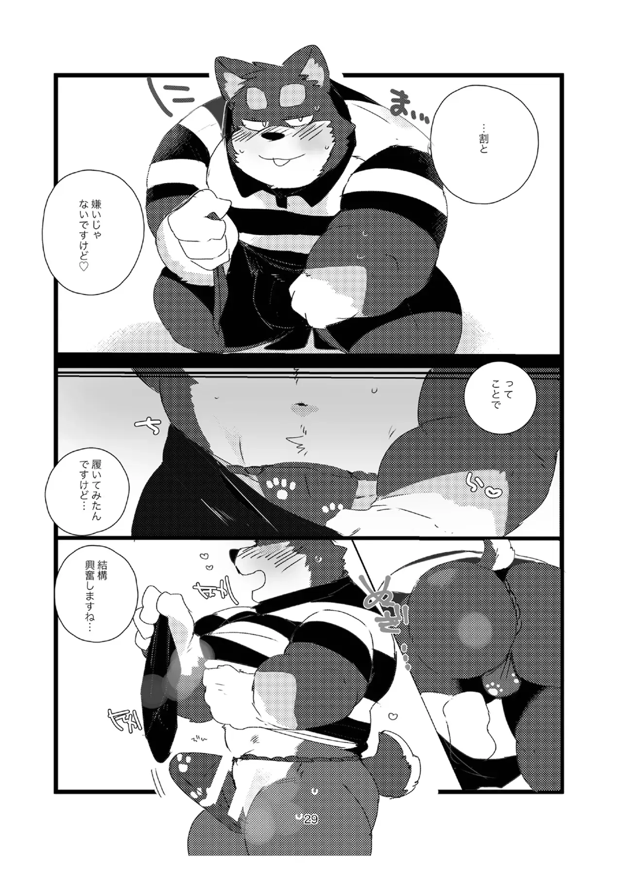 Image #29