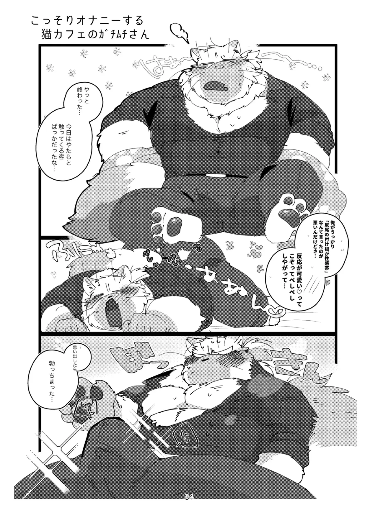 Image #34