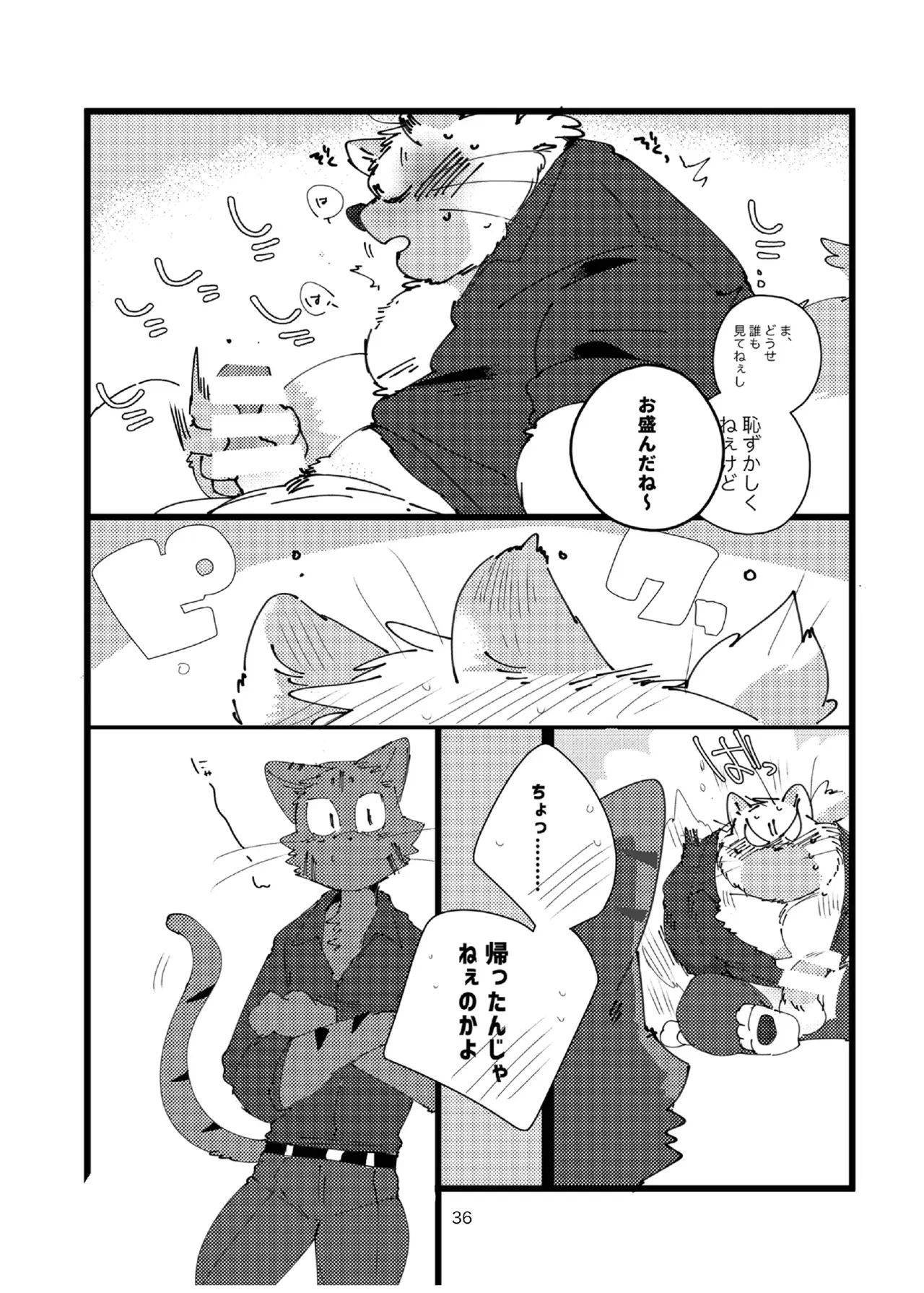 Image #36