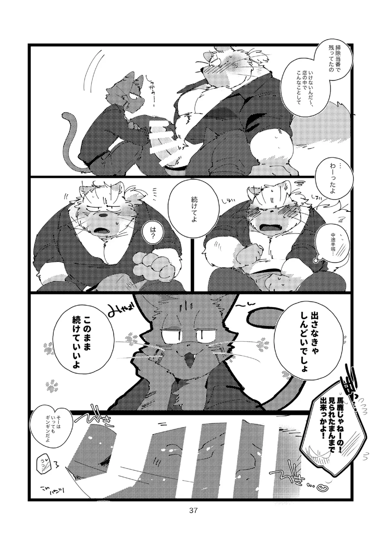 Image #37