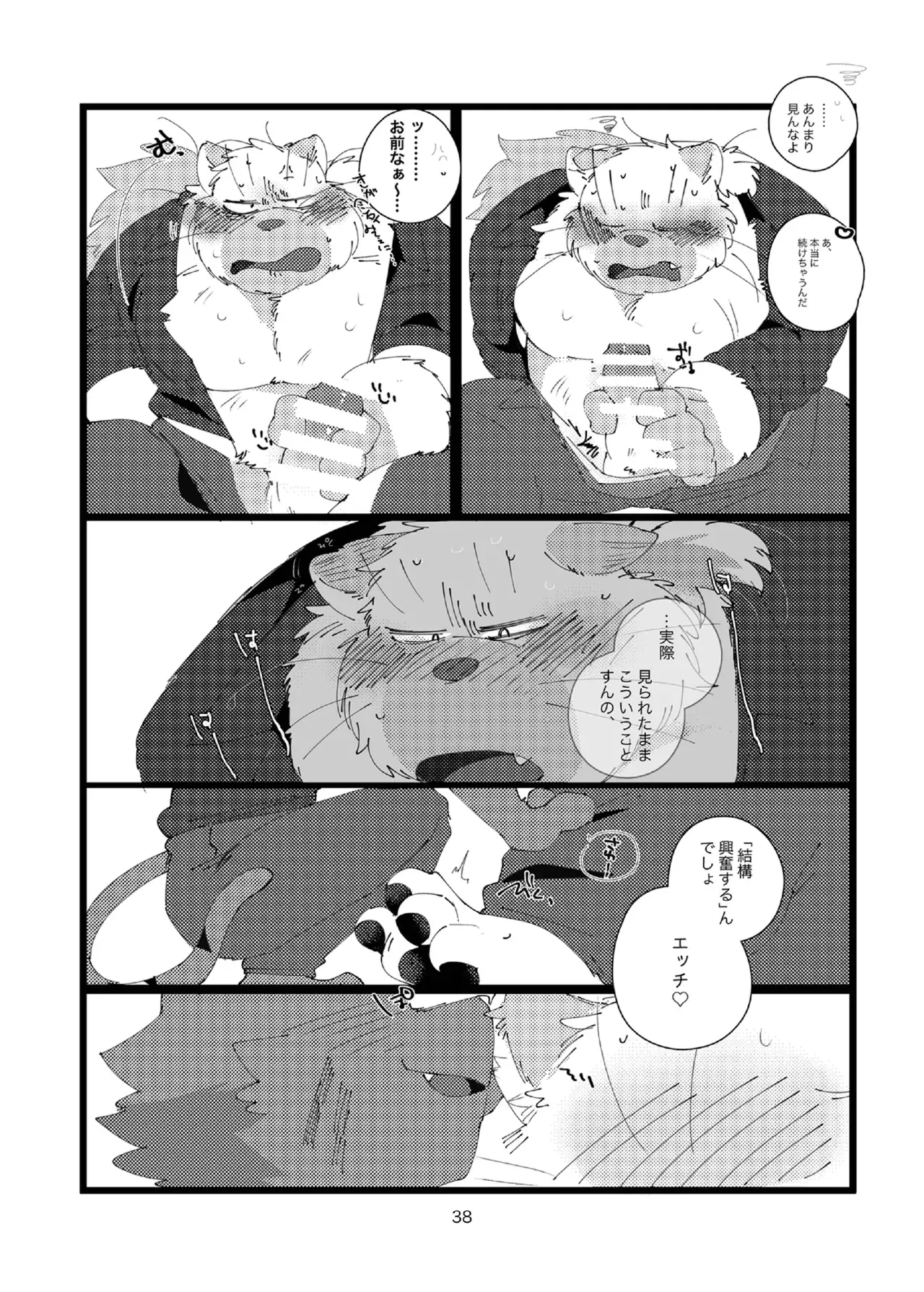 Image #38