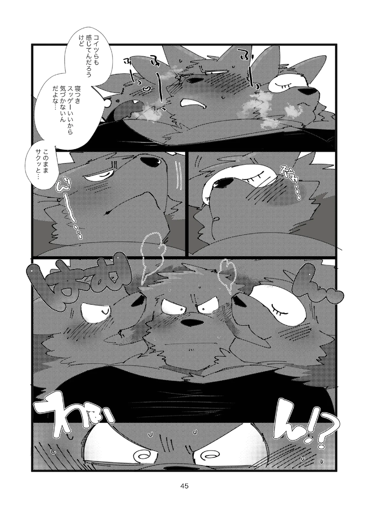 Image #45