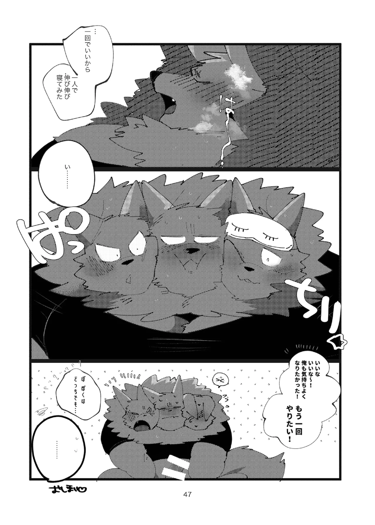 Image #47