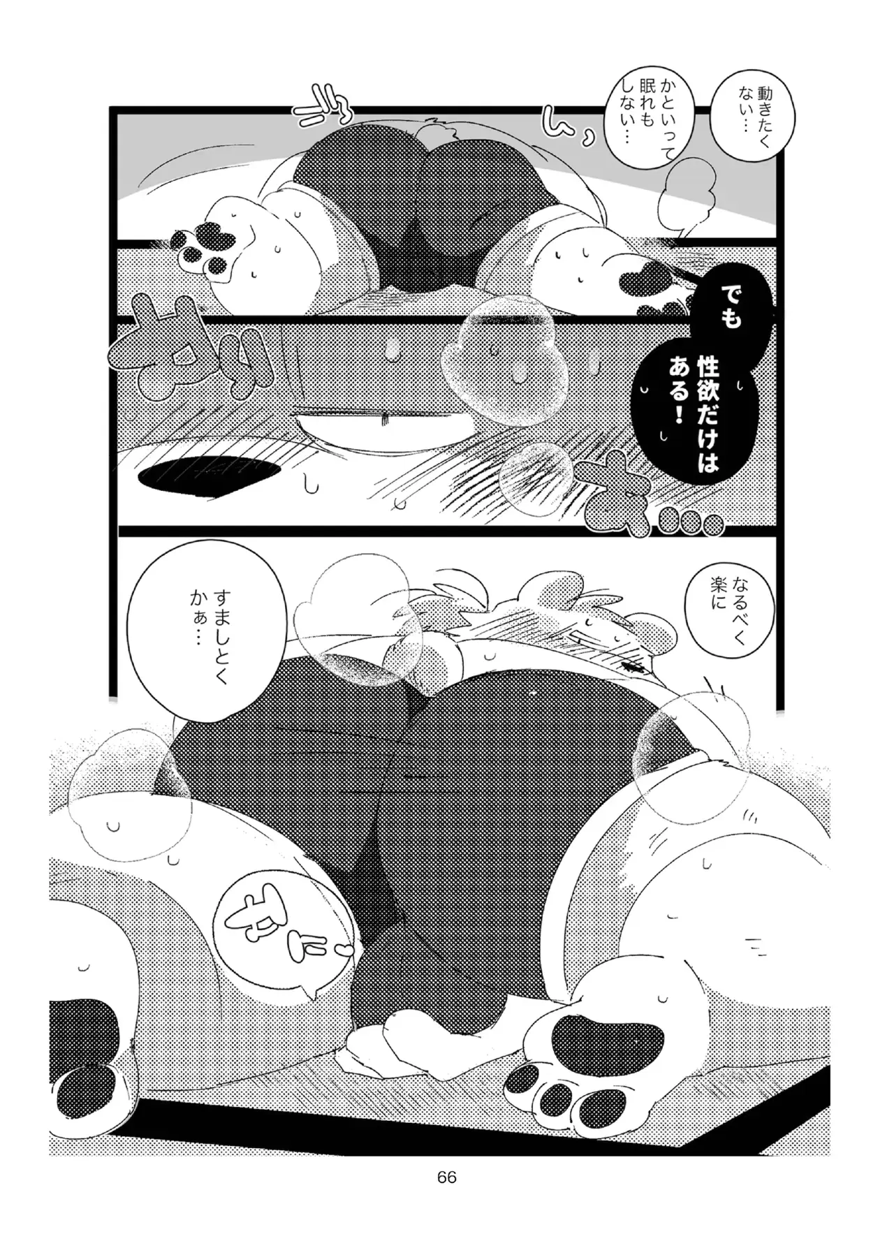 Image #66