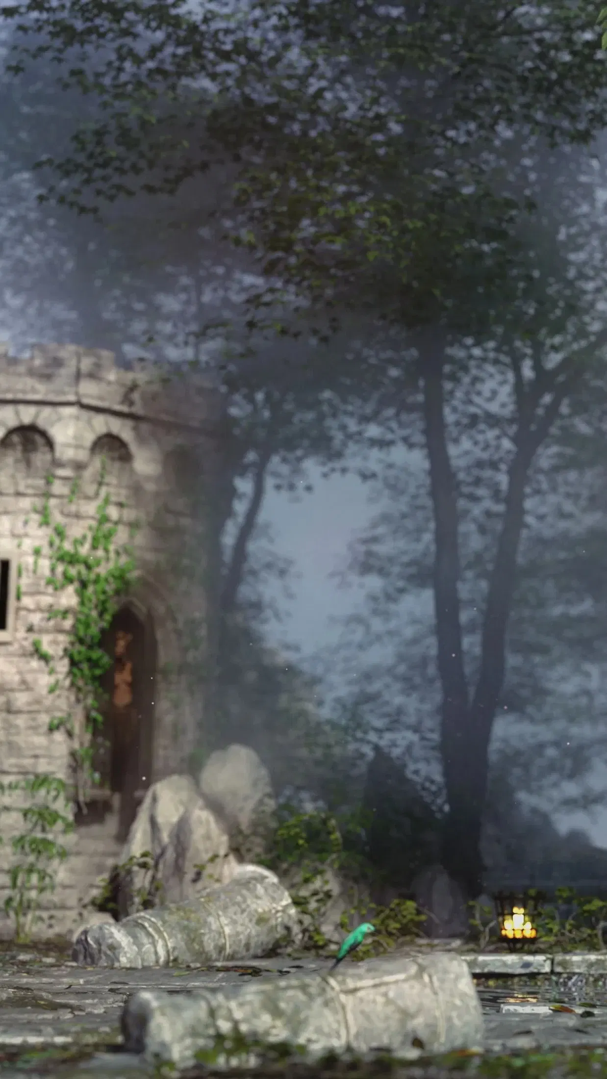 Image #11