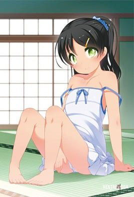 Ichinen Buri No The Animation - Series Hentai