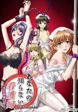 Anata no Shiranai Kangofu: Seiteki Byoutou 24 Ji - Hentai Series
