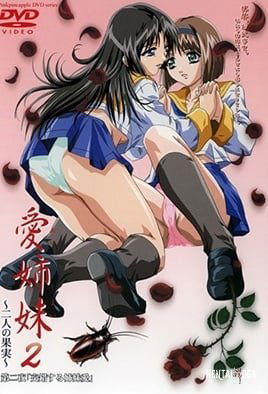 Immoral Sisters 2 - Series Hentai