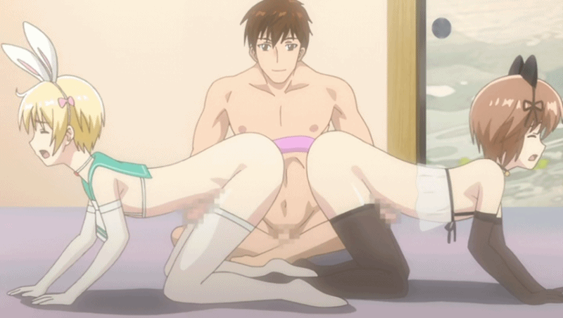 حيوان أليف - GIF هنتاي