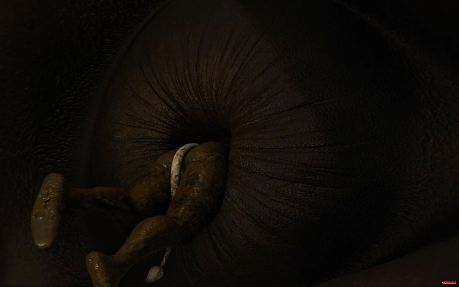 Anal vore by ral3d - hentai porn - Hentai Video