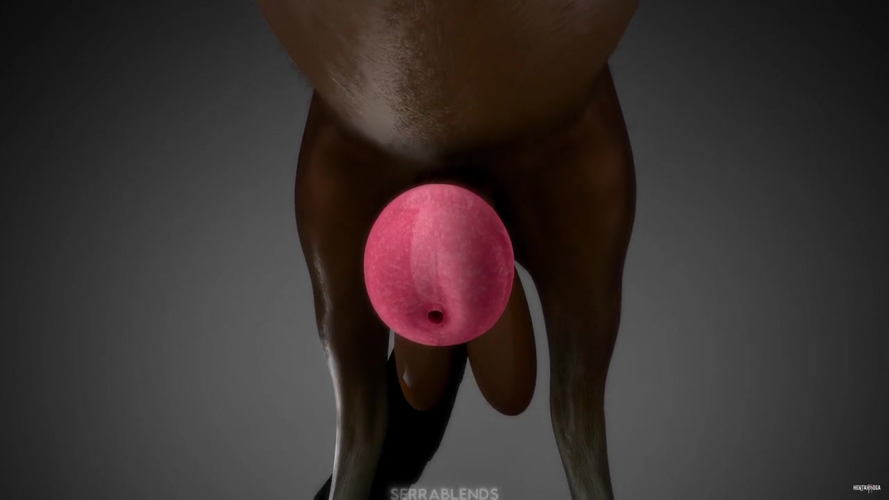 Dưới con ngựa chiến - hentai porno - Video Hentai