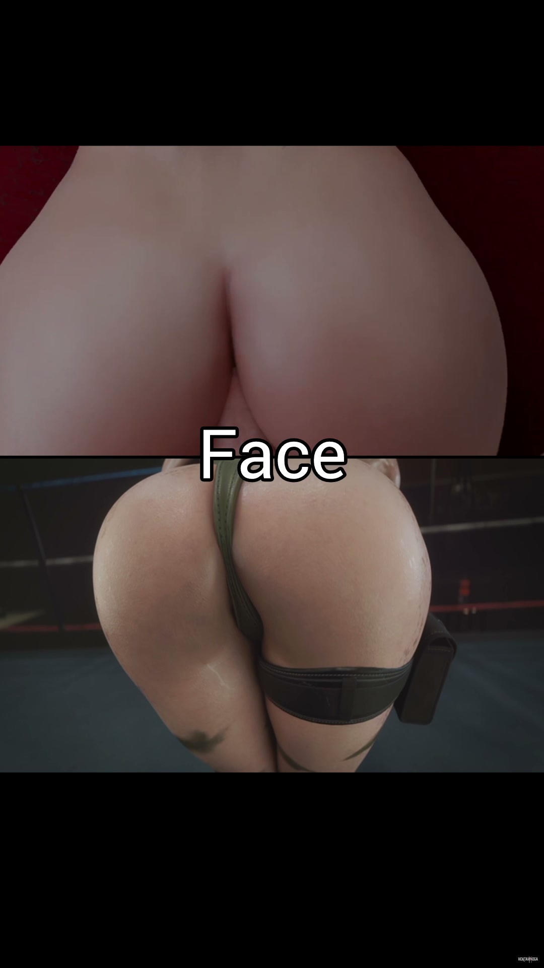 Cammy White vs Chun Li