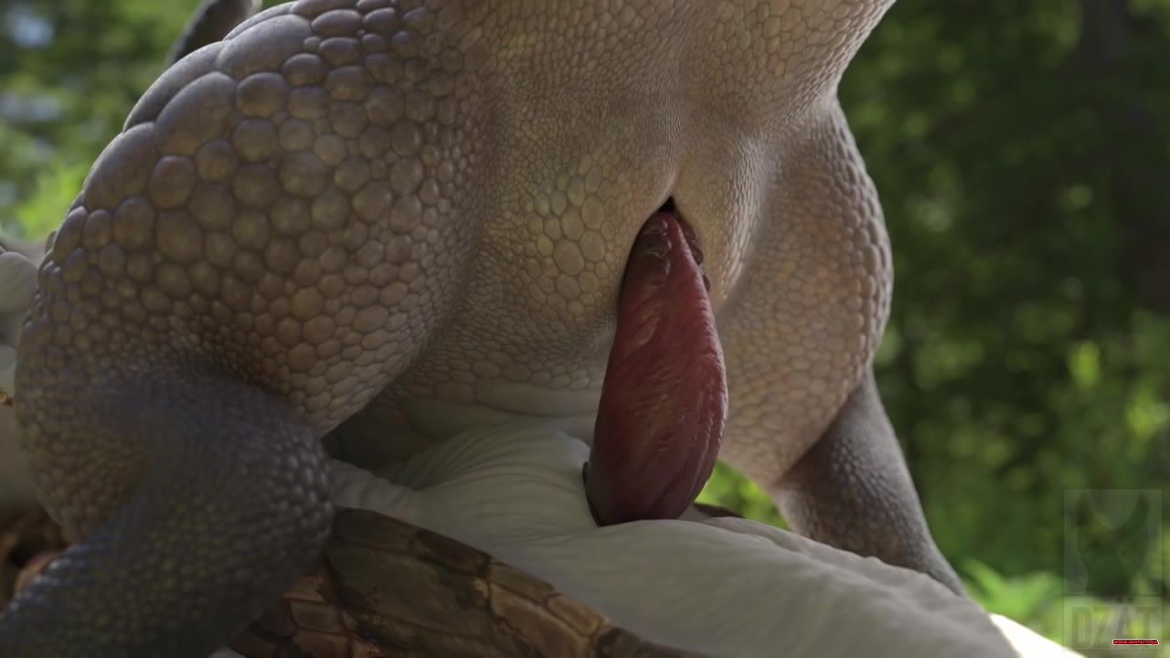 FURRY LIZARD FOREST RIDE (DZÄT) - hentai porn - Hentai Video