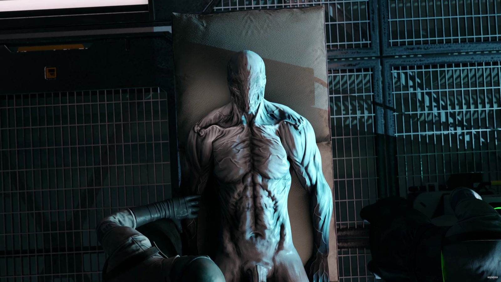 futa monsterns - hentai porn - Hentai Video