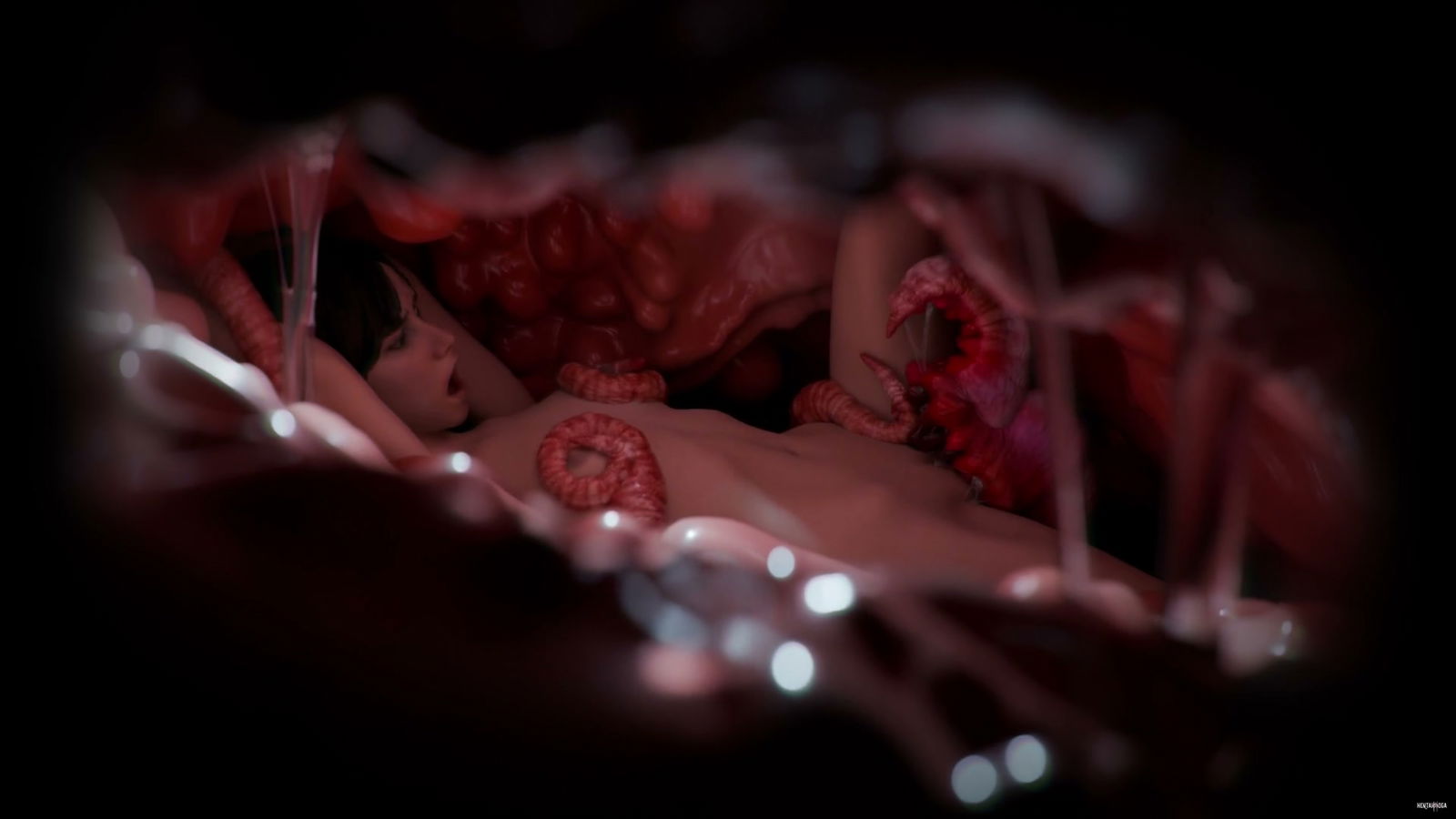 Carne de huerta - hentai porno - Video Hentai