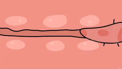 Compilação de Nemiru e o cavalo - porn hentai - Vídeo Hentai
