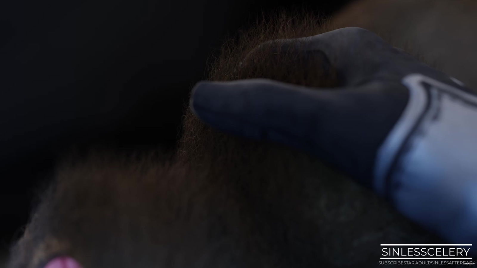 Chuyến thám hiểm tình dục 34 Tập 1 - hentai porno - Video Hentai