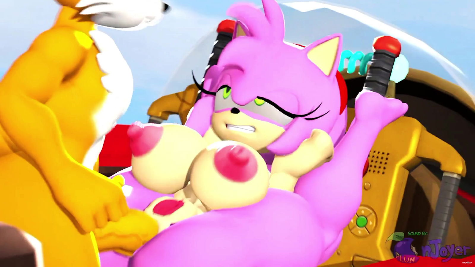Tails and Amy In Air Flyer - hentai porn - Hentai Video