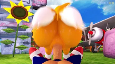 Tails riding Sonic - hentai porn - Hentai Video