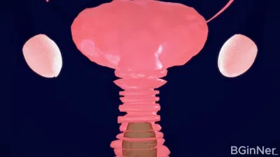 UltraMulheres derrotadas e engravidadas (BGinNer) - porn hentai - Vídeo Hentai