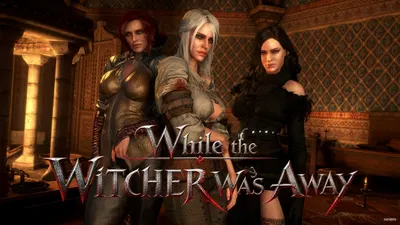 While the Witcher Was Away | Preview