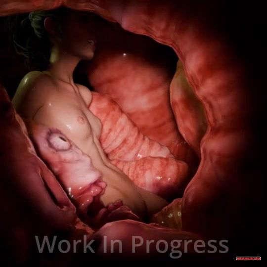 WIP Admirer - hentai porn - Hentai Video