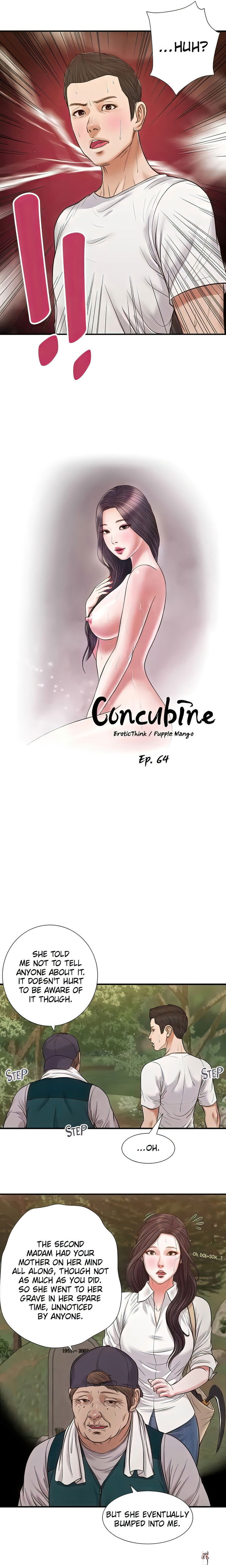 Concubine Concubine Chapter 64 - Page 2