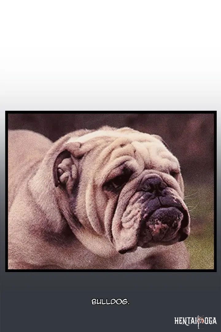 From Weakling to Nemesis From Weakling to Nemesis Chapter 7 - Page 1