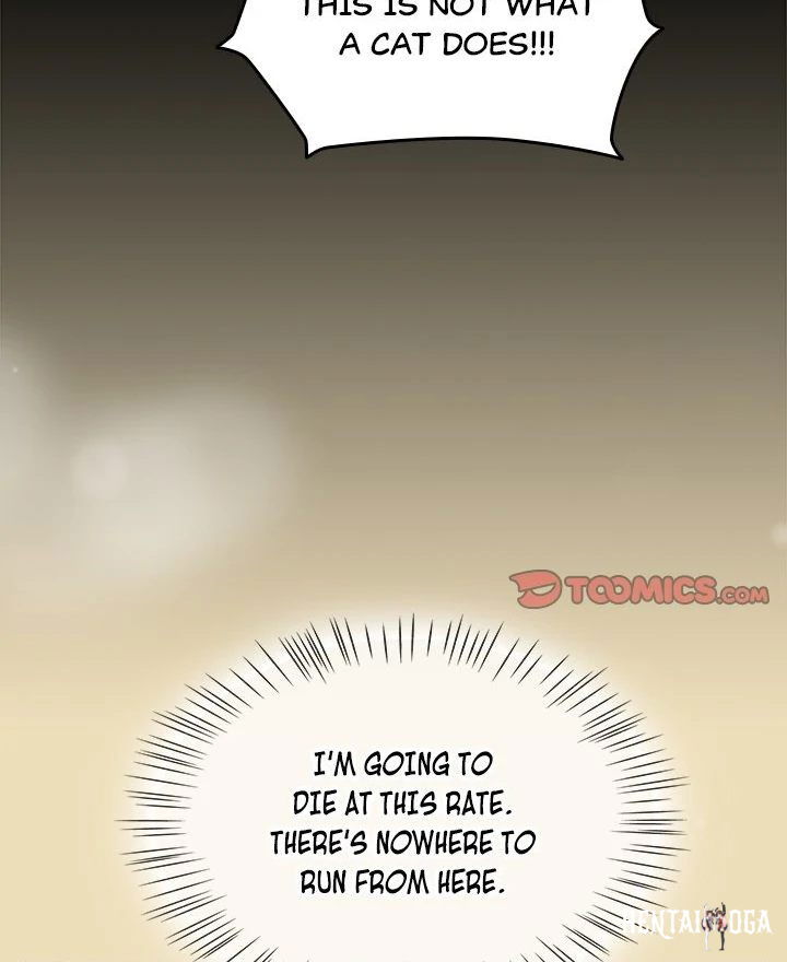 Ground and Pound Ground and Pound Chapter 28 - Page 8